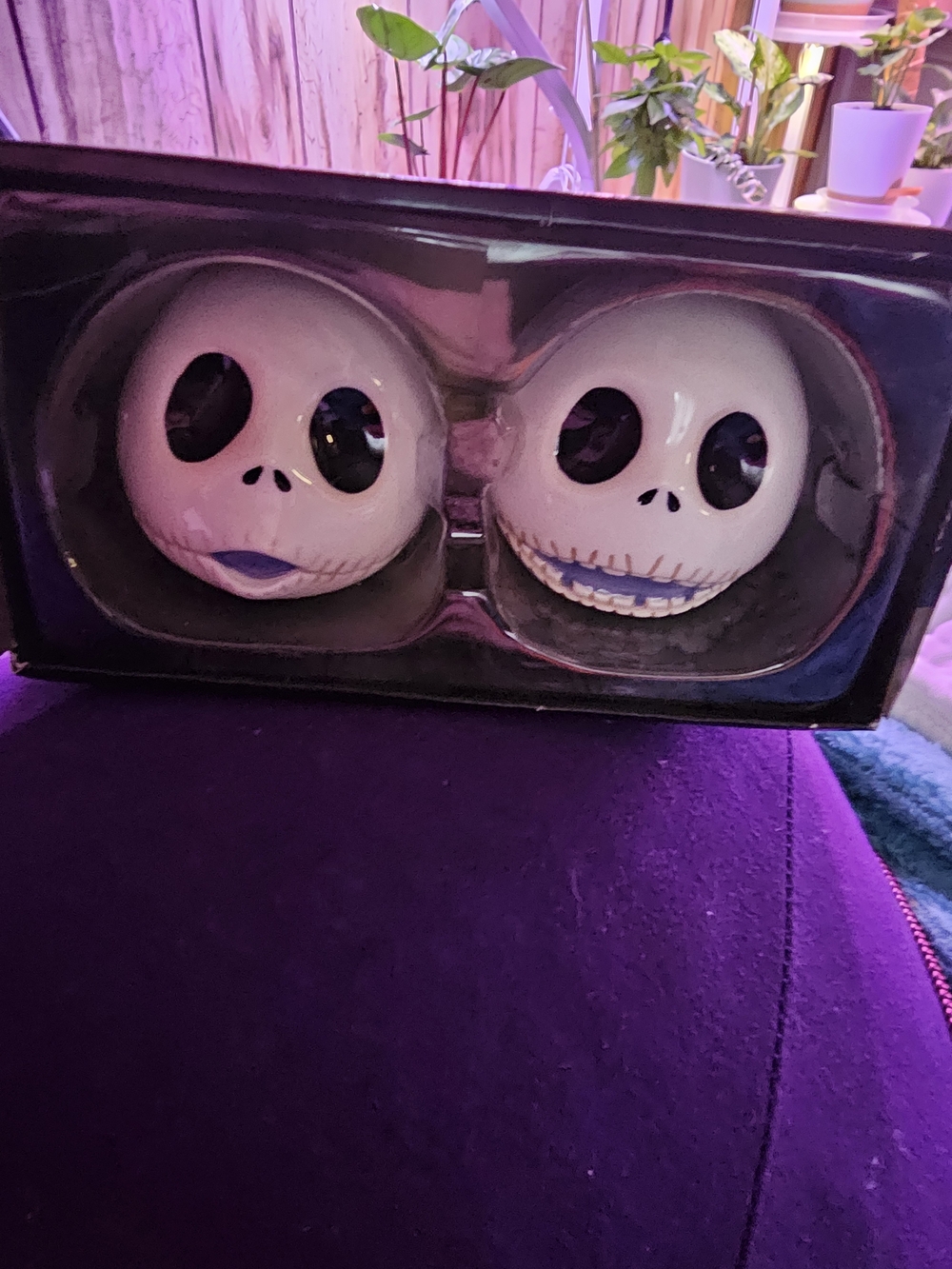 Skull Face Ceramic Salt and Pepper Shakers - NIB Retail $25